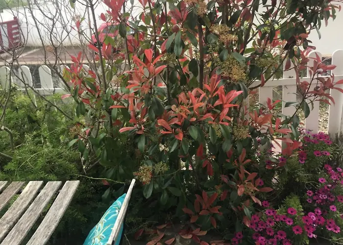 Vacances Appartamento